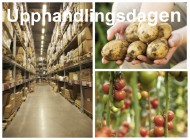 Upphandlingsdagen vit text