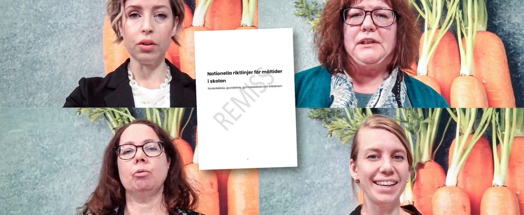 skola_remiss_2025juni